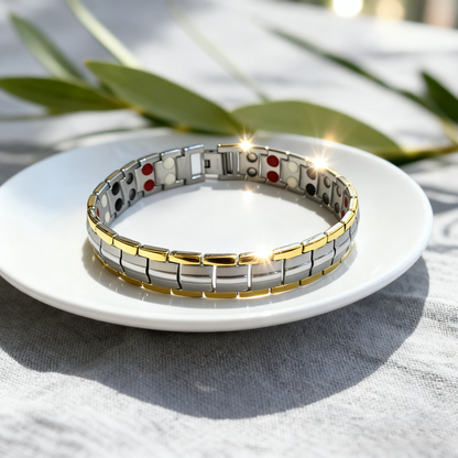The Perfect Gift for Him & Her | TG Titanium Anti-Static Bracelet | Luxury Style Meets Everyday Wellness - SilverGold