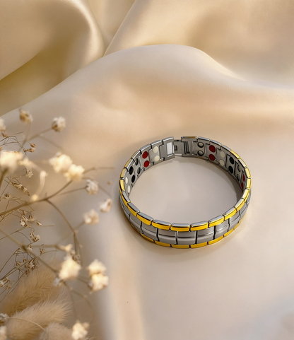 The Perfect Gift for Him & Her | TG Titanium Anti-Static Bracelet | Luxury Style Meets Everyday Wellness - SilverGold