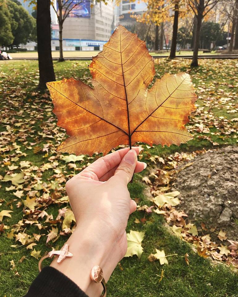 BABAZAC Travel The World Bracelet | Live, Explore, Be Free - RoseGold