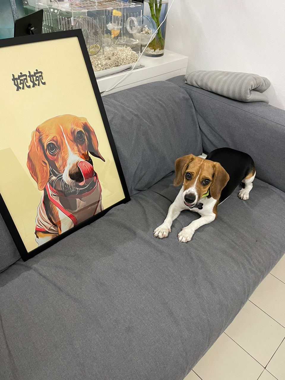Custom Pet Oil Painting Photo Frame | Turn Your Pet Into Art